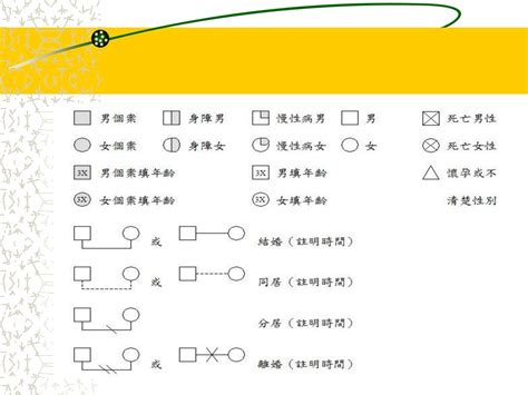 家庭圖關係線|家系圖符號 